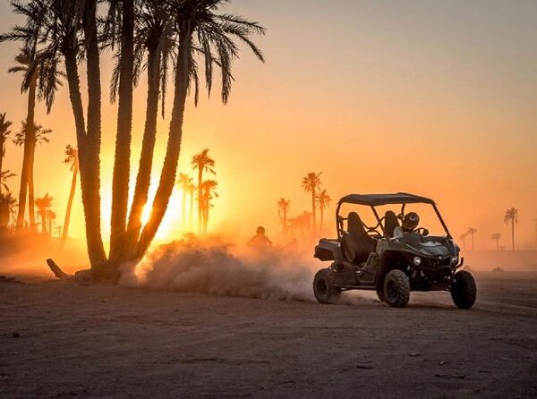 Buggy a La Palmeraie