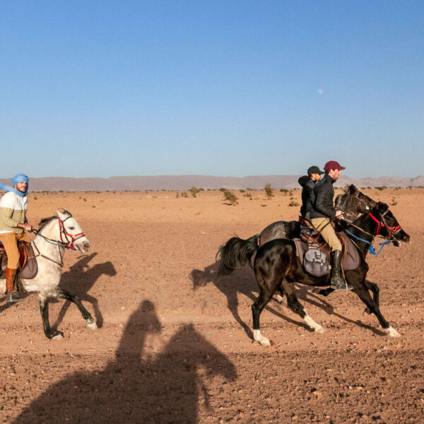 Balade à cheval à Agafay
