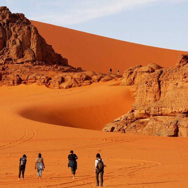 Circuit 6 jours : Marrakech - Zagora - Tazarine - Kelaa Mgouna
